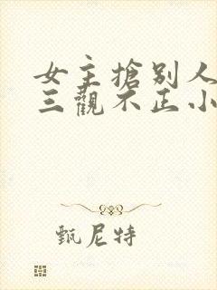 女主抢别人男友三观不正小说