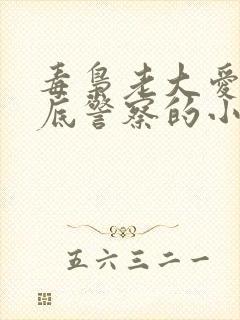 毒枭老大爱上卧底警察的小说男男