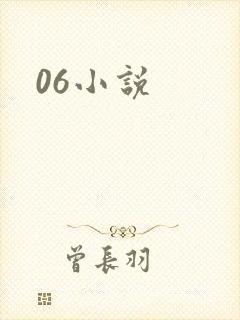 06小说