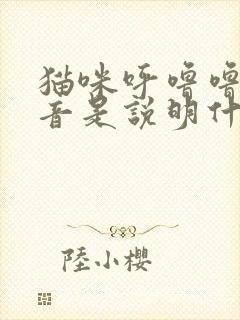 猫咪呼噜噜的声音是说明什么