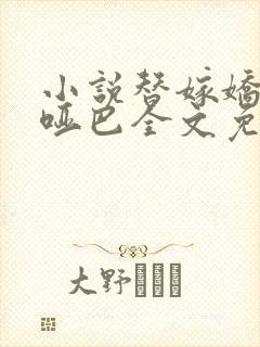 小说替嫁娇妻是哑巴全文免费阅读