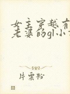 女主穿越有很多老婆的gl小说