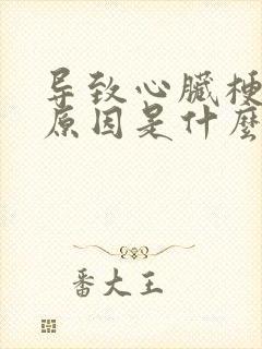 导致心脏梗塞的原因是什么