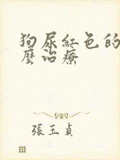 狗尿红色的尿怎么治疗