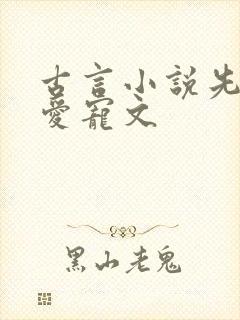 古言小说先婚后爱宠文