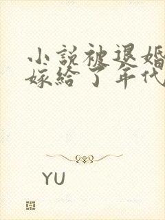 小说被退婚后我嫁给了年代文大佬