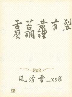 舌苔黄有裂纹怎么调理