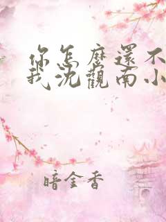 你怎么还不来哄我沈观南小说免费阅读