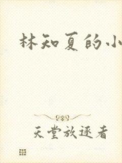 林知夏的小说