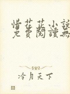 惜花芷小说全文免费阅读无弹窗