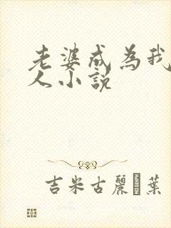 老婆成为我的主人小说