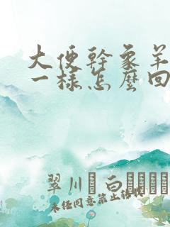 大便干象羊屎蛋一样怎么回事