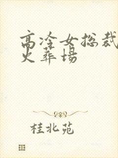 高冷女总裁追夫火葬场