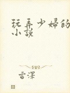玩弄少妇的悲哀小说