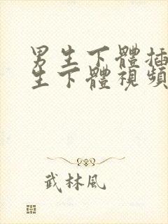 男生下体插入女生下体视频