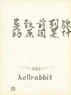 导致前列腺增生的原因是什么