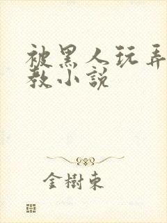 被黑人玩弄h调教小说