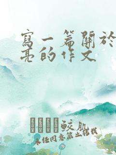 写一篇关于诸葛亮的作文