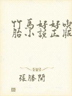 竹马好好吃双胞胎小说正版阅读