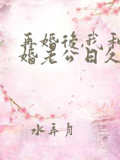 再婚后,我和再婚老公日久生情小说