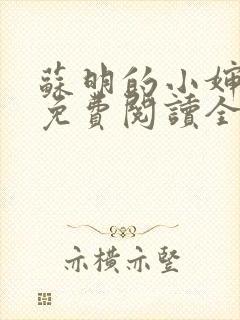 苏明的小婶小说免费阅读全文无弹窗