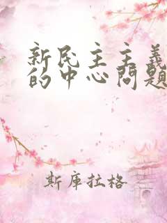 新民主主义革命的中心问题是:( )