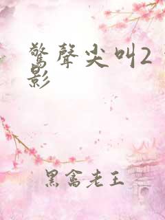 惊声尖叫2 电影