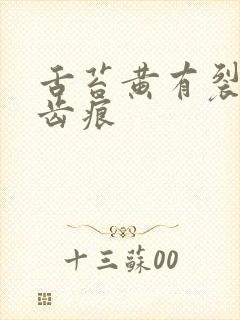 舌苔黄有裂纹有齿痕