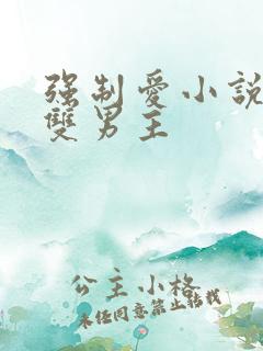 强制爱小说推荐双男主