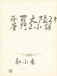斗罗大陆2绝世唐门2小说