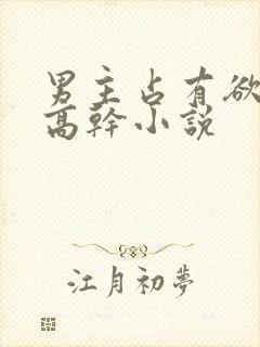 男主占有欲强的高干小说