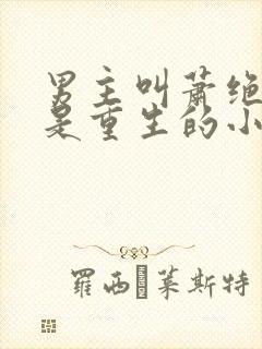 男主叫萧绝女主是重生的小说