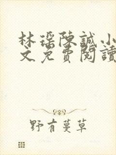 林瑶陈诚小说全文免费阅读最新章节