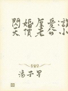 闪婚厚爱:误嫁天价老公小说