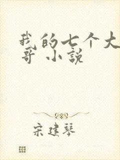 我的七个大佬哥哥 小说