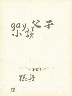 gay 父子 小说
