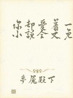 你却爱着一个他小说全文免费阅读