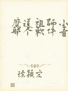 魔道祖师小说在哪个软件看