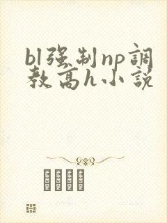 bl强制np调教高h小说