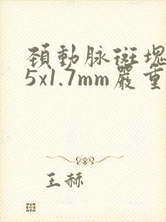 颈动脉斑块6.5x1.7mm严重吗?