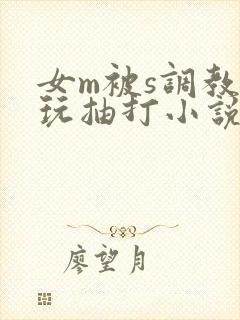 女m被s调教虐玩抽打小说