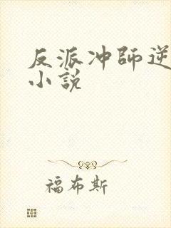 反派冲师逆徒的小说