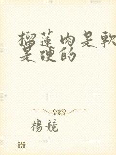 榴莲肉是软的还是硬的