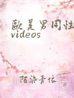 欧美男同性恋 videos