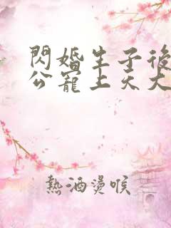 闪婚生子后被老公宠上天大结局