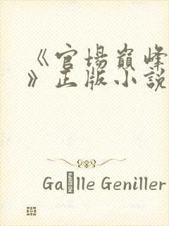 《官场巅峰李霖》正版小说