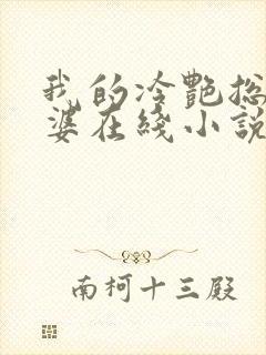 我的冷艳总裁老婆在线小说