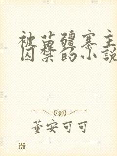 被苗疆寨主抓住囚禁的小说双男主