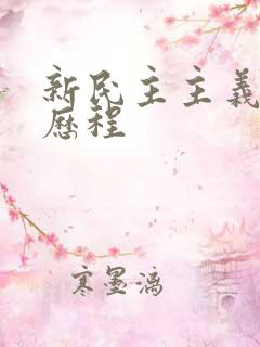 新民主主义革命历程