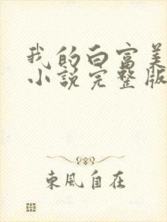 我的白富美老婆小说完整版